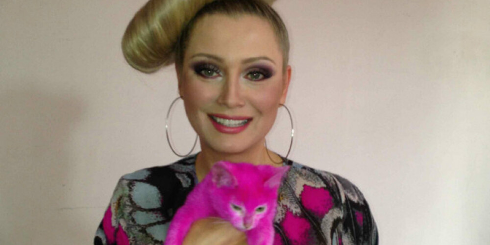 Лена Ленина пожалела, что согласилась покрасить котенка в розовый цвет