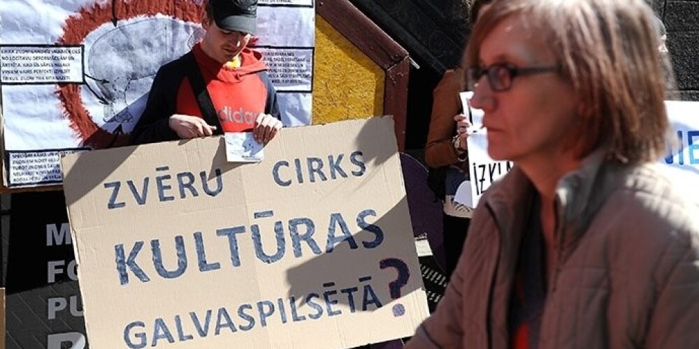 Общество Dzīvnieku brīvība требовало от министерства культуры подписать их петицию, чтобы прекратить использование животных в цирке