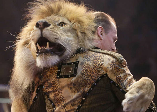 "Империя львов" — новая программа 126-го сезона Рижского Цирка