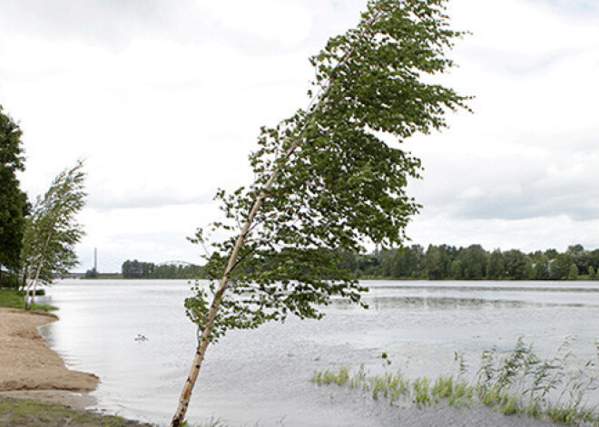 Šodien pūtīs brāzmains vējš, saule mīsies ar mākoņiem