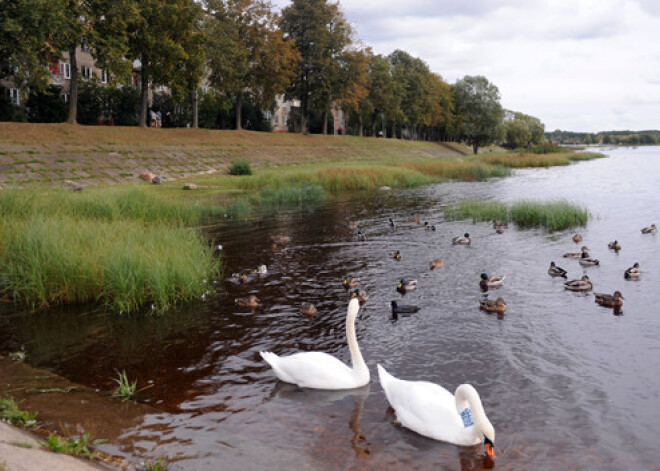 Atklās Ķengaraga promenādes pagarinājumu līdz Mazjumpravas muižai