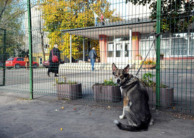 Rīgas 45. vidusskola svin 60 gadu jubileju