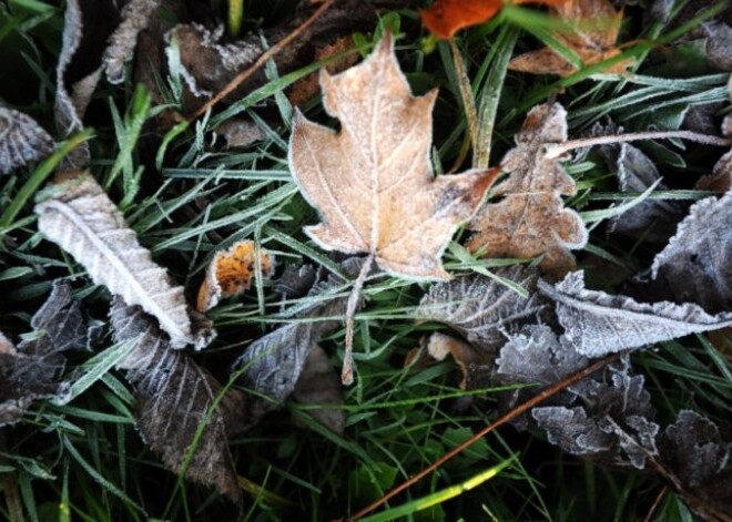 Zināms, kāds laiks gaidāms novembra mēneša sākumā