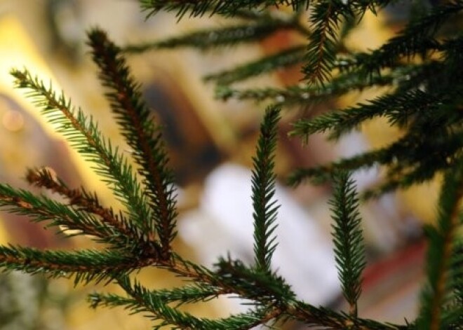 Рассмотрят предложение об объявлении выходным днем православного Рождества