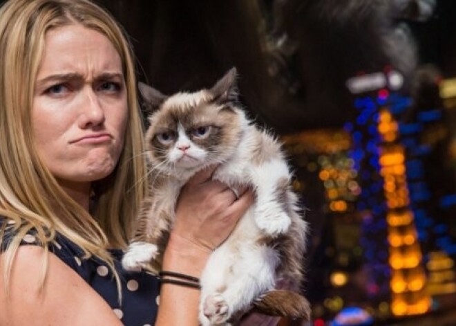 Хозяйка Grumpy Cat опровергла слухи о рекордных заработках