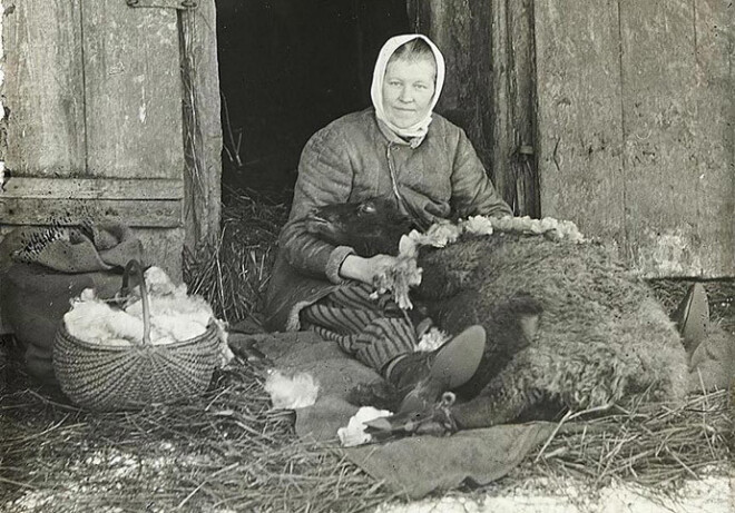 Aitu cirpēja Kurzemē. 1930. gadi.