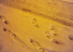 Скользкие участки дорог сегодня с 3.30 утра обрабатывают 105 единиц дорожной техники