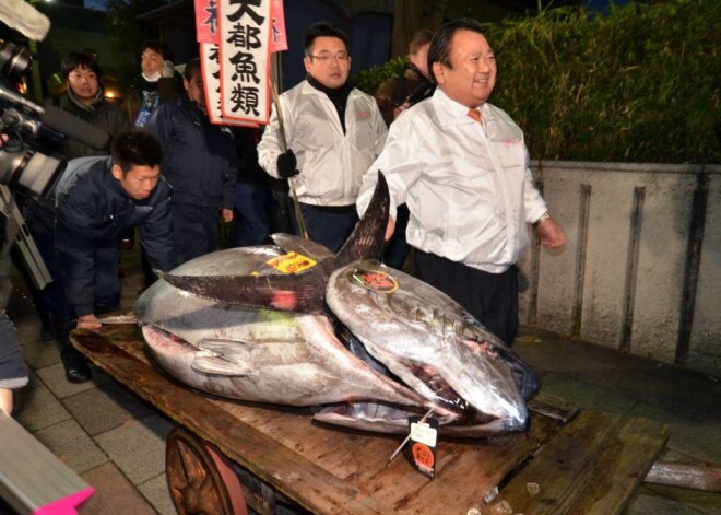 Tokijas zivju tirgū pirmdien par 4,51 miljoniem jenu (31 057 eiro) izsolīta zilā tunzivs. 180,4 kilogramus smagā tunzivs nozvejota Aomori prefektūras krastos.