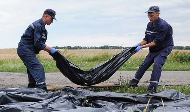 Ukrainas glābšanas dienesta darbinieki savāc notriektās "Malaysia Airlines" pasažieru lidmašīnas upurus.