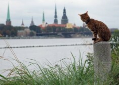 Победивший город получит почетное звание "Лучшее туристическое направление Европы в 2015 году"