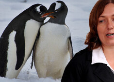 Latviete Zane pārsteidz ļaudis, lūdzot naudu ceļojumam uz Antarktīdu