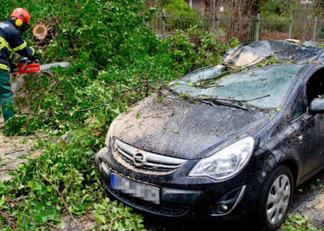 Varēs bez maksas iegūt datus par citās valstīs reģistrēto auto nobraukumu un tehnisko stāvokli