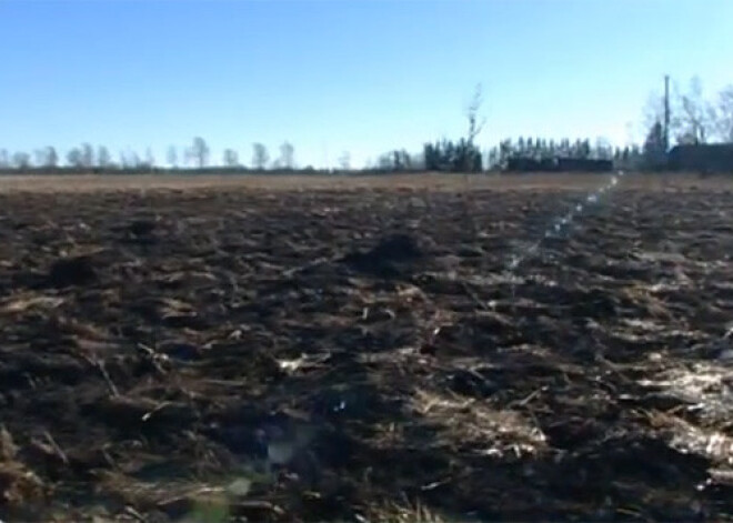 Latvijā sākas kūlas dedzināšanas sezona. VIDEO