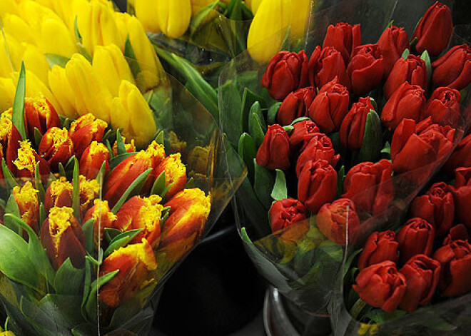 Ziedu tirgotāji: šogad Sieviešu dienā pērk lielākus un dārgākus pušķus