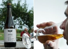 Винодельни расценивают снижение акциза на сидр как позитивный шаг