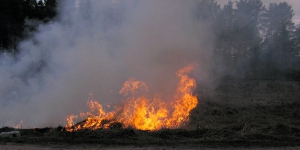 Синоптики предупреждают о повышенной пожароопасности в лесах