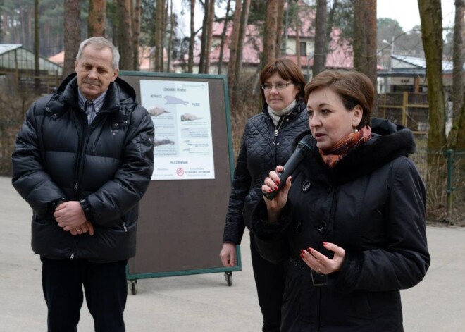 Rīgas Zoodārzā stāsta par roņiem