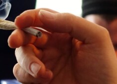 В Латвии 40% детей при достижении определенного возраста начинают курить, и в случае декриминализации марихуаны все они являются потенциальными потребителями этого наркотика.