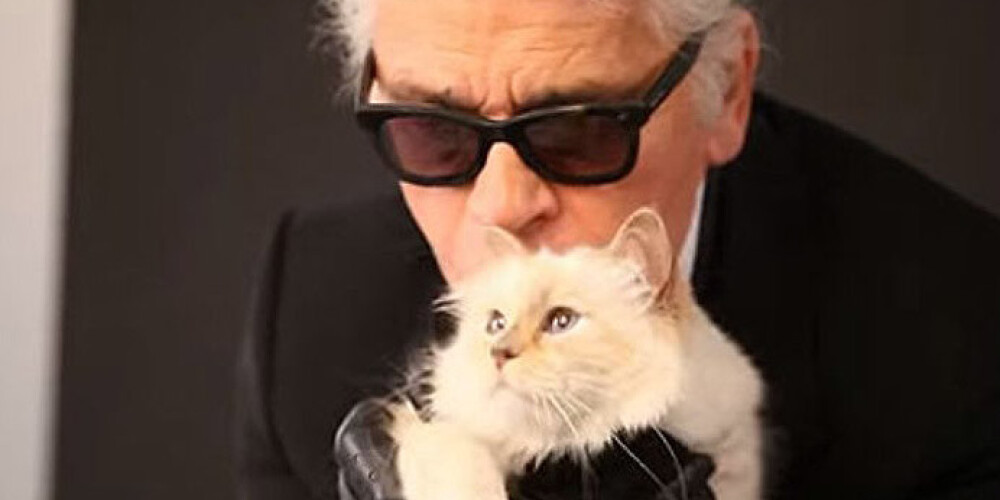 Dizainera Lāgerfelda kaķis gadā nopelnījis 3 miljonus dolāru!