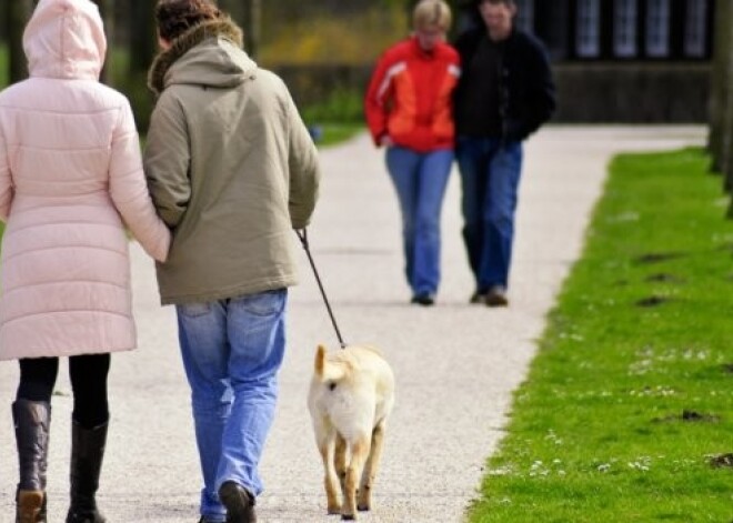 30 minūšu ilga pastaiga ik dienu dara brīnumus, atgādina ārsti