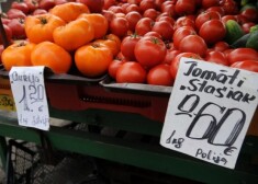 Цены на продукты питания наконец значительно снизились
