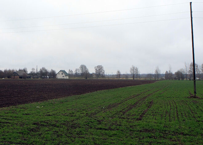 Latvijā pilnā sparā sākusies vasarāju sēja