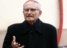 Katoļu baznīcas arhibīskaps Jānis Pujats uzskata, ka viendzimuma laulības ir laulību parodija.