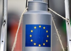 Представители Европарламента также увидели усиление давления России на восточные границы Евросоюза, в том числе Румынию, Польшу и прибалтийские государства