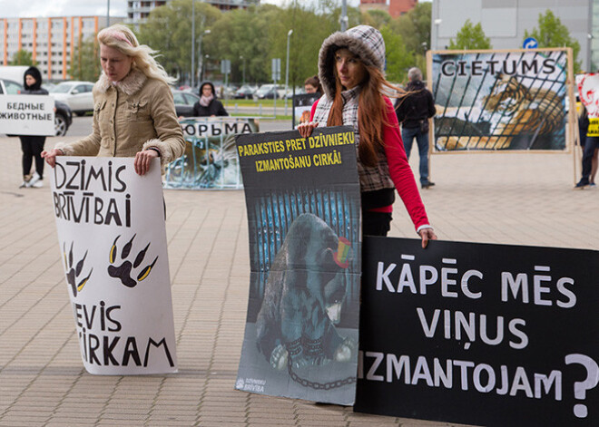 "Negribu būt cirka vergs" - protestē pret dzīvnieku izmantošanu cirka izrādēs. FOTO