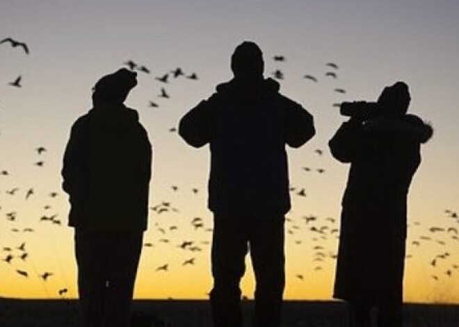 Sākusies tradicionālā putnu vērošanas sacensība "Torņu cīņas"