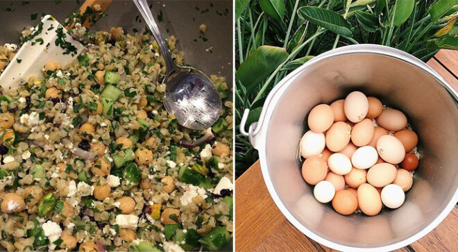 Фотографии ланча и снесенных курицами для Дженнифер яиц