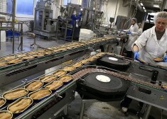 Россия ввела временный запрет на всю продукцию рыбоперерабатывающей отрасли