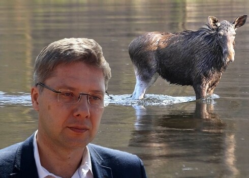 «Mežs ienāk pilsētā (пер. с латышского — "лес наступает")», — отметил Ушаков и пожелал всем хорошего вечера