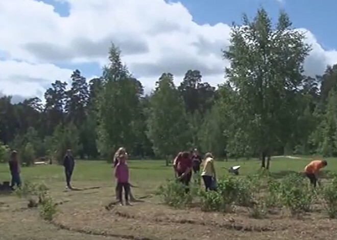 Kazdangā pilnveido muižas parku. VIDEO