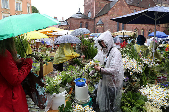 Jāņu zāļu tirdzniecība var izrādīties pavisam neizdevīga.