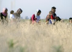 Правительство 6 июля договорилось, что Латвия примет до 250 беженцев