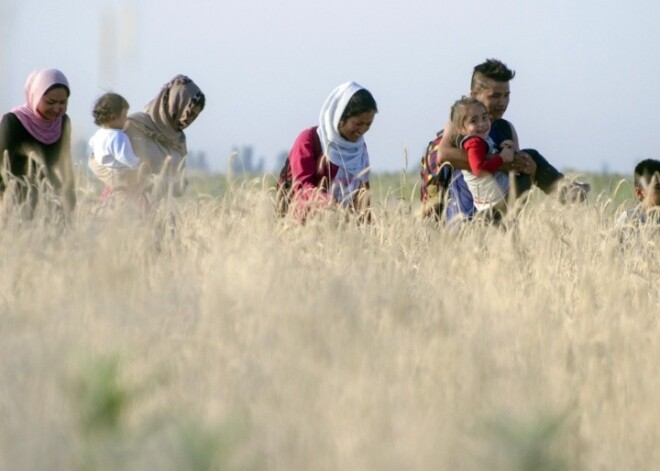 Страуюма: в вопросе беженцев выбора фактически не было