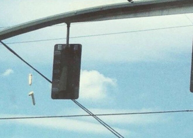 Дилдо-атака: на электропроводах в Портленде развесили сотни фаллоимитаторов. ФОТО