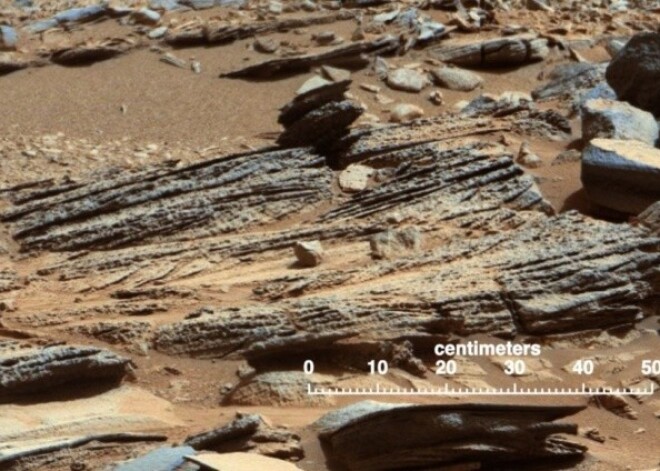 В интернете появились фото неизвестного существа, погибшего на Марсе. ВИДЕО