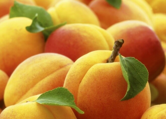 7 самых полезных продуктов на планете