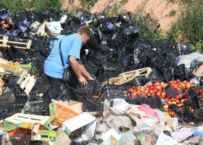 Smoļenskas apgabalā, kur piektdien tika iznīcinātas tonnas ar augļiem un dārzeņiem, kas kontrabandas ceļā ievestas Krievijā, bija vērojama apokaliptiska aina, vēsta telekanāls "Doždj". Nelegāli ievesto "sankciju produkciju" pēc valsts lēmuma iznīcināja, tomēr izgāztuvēs vai čumēja no vietējiem iedzīvotājiem, kuru uzlasīja cukurainākos augļus. Kandžas brūvēšanai, izteikušies vairāki izgāztuvē sastaptie.