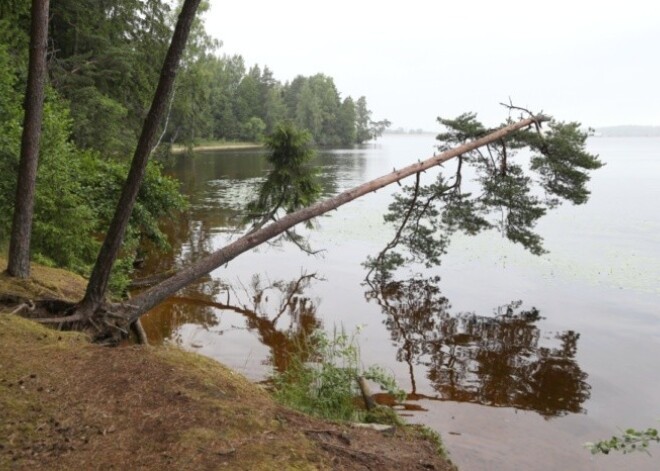 Ūdens līmenis Daugavā var sasniegt viszemāko atzīmi novērojumu vēsturē