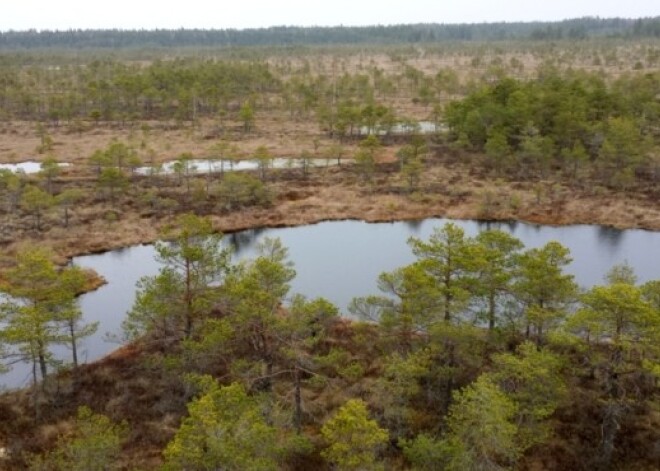 Ķemeru tīrelī pazudusī sieviete ir veiksmīgi atradusies