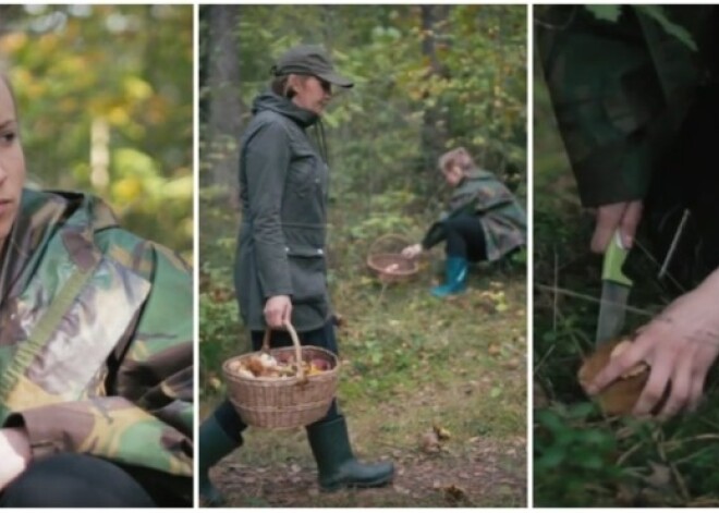 Kāpēc vienam mežā veicas, bet citam ne? 6 sēņotāju tipi. VIDEO