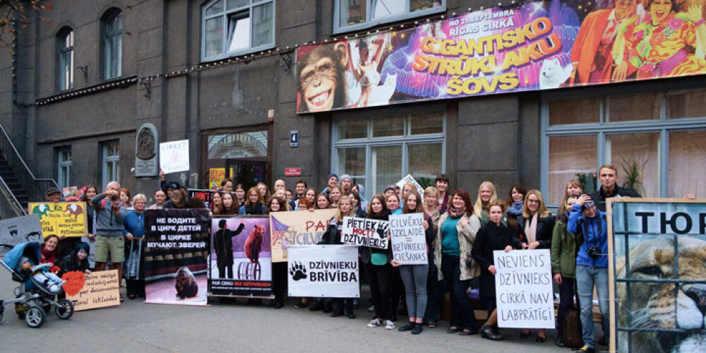 Biedrības “Dzīvnieku brīvība” pārstāvji norāda, ka nupat Eiropas Veterinārārstu federācija, kas pārstāv 46 veterinārārstu asociācijas no 38 Eiropas valstīm, aicinājusi Eiropas un nacionālā mēroga kompetentajām iestādēm visā Eiropā aizliegt savvaļas sugu zīdītāju izmantošanu ceļojošajos cirkos.