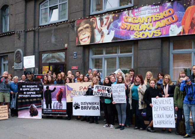 Protestā pret dzīvnieku izmantošanu cirkā pulcējas vairāk nekā 50 cilvēku. FOTO