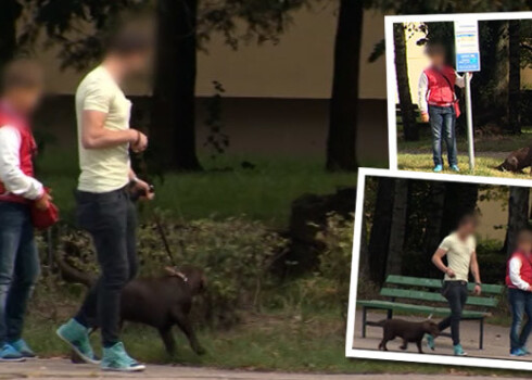 Veiktajā eksperimentā kādam svešniekam ar sunīti vairāki Rīgas ielās esošie bērni pat bija gatavi doties līdzi uz mājām.
