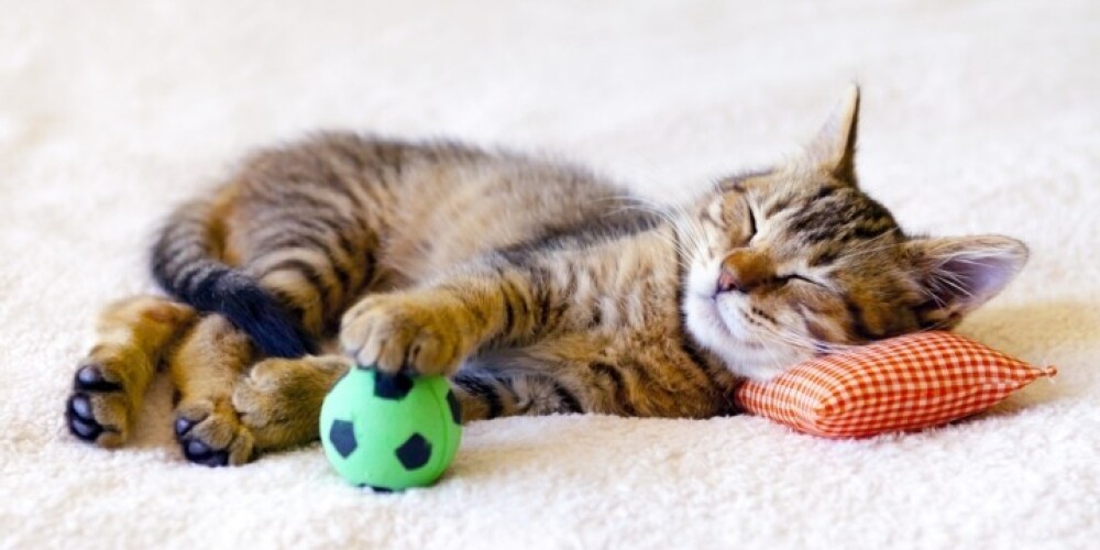 Šāda veida nodokli Lietuvā ir noteikusi piejūras kūrortpilsēta Palanga un SPA kūrortvietas Druskininki un Birštone.