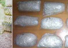 Полицейская собака Нато нашла наркотики на сумму около 25 000 евро