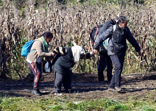 Slovēnijā 24 stundu laikā ir ieradušies 12 676 migranti, kas ir jauns rekords, ceturtdien paziņoja policija. No sestdienas, kad sākās migrantu pieplūdums Slovēnijā no Horvātijas, līdz pulksten sešiem (septiņiem pēc Latvijas laika) ceturtdien tur ieradās 34 131 migrants. Līdz trešdienas rītam bija ieradušies 21 455 migranti.